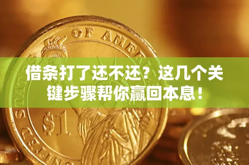 武汉借条打了还不还？这几个关键步骤帮你赢回本息！