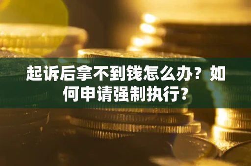 武汉起诉后拿不到钱怎么办？如何申请强制执行？