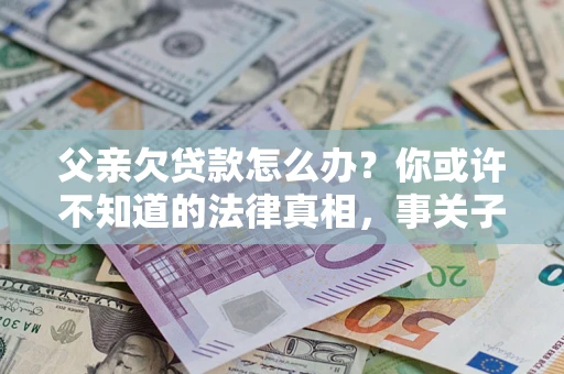 武汉父亲欠贷款怎么办？你或许不知道的法律真相，事关子女未来