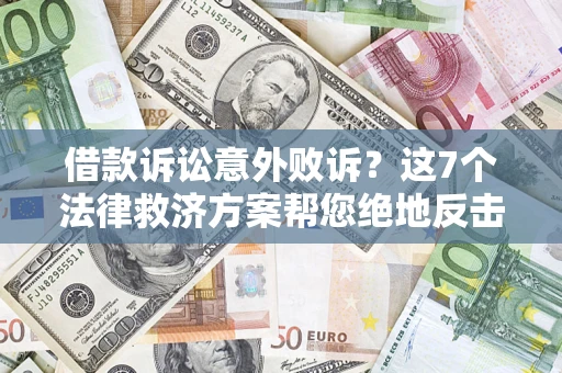 武汉借款诉讼意外败诉？这7个法律救济方案帮您绝地反击！