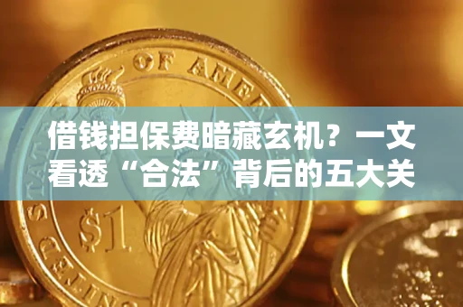 武汉借钱担保费暗藏玄机？一文看透“合法”背后的五大关键陷阱
