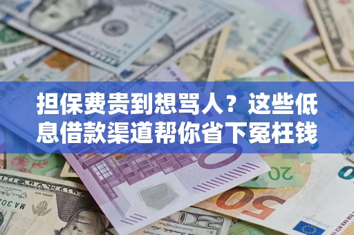 武汉担保费贵到想骂人？这些低息借款渠道帮你省下冤枉钱