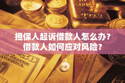 武汉担保人起诉借款人怎么办？借款人如何应对风险？