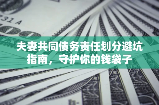 武汉夫妻共同债务责任划分避坑指南，守护你的钱袋子