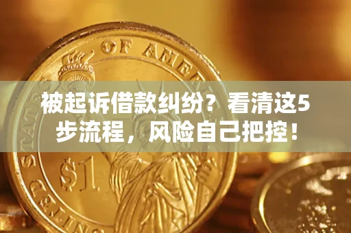 武汉被起诉借款纠纷？看清这5步流程，风险自己把控！
