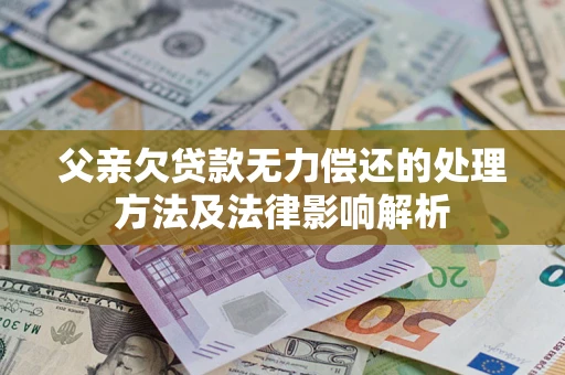 武汉父亲欠贷款无力偿还的处理方法及法律影响解析