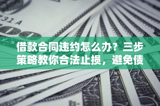 武汉借款合同违约怎么办？三步策略教你合法止损，避免债务危机升级