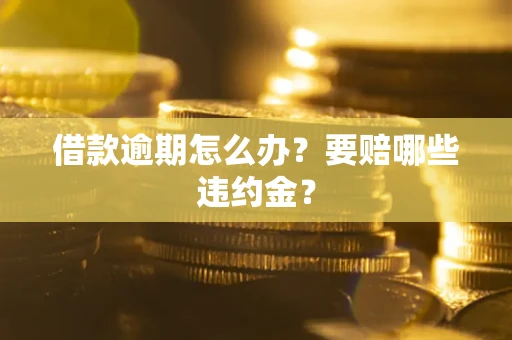 武汉借款逾期怎么办？要赔哪些违约金？