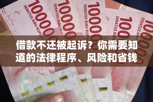 武汉借款不还被起诉？你需要知道的法律程序、风险和省钱技巧